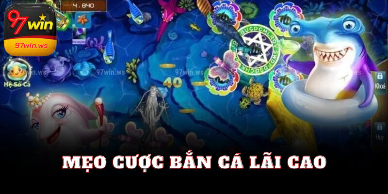 Mẹo cược bắn cá lãi cao