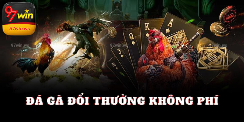 Tham gia đá gà đổi thưởng không phí tại 97win